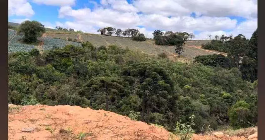 Terreno à venda no Centro, Senador Amaral 