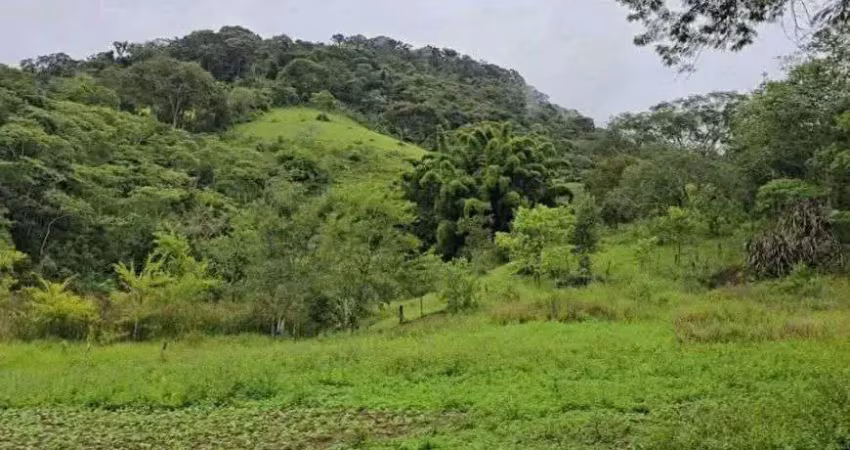 Terreno à venda no Centro, Cambuí 