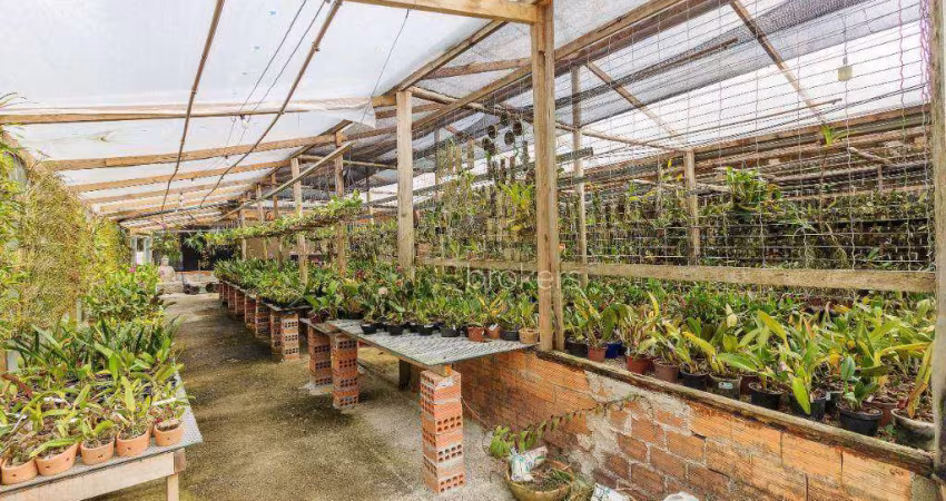 Terreno à venda, 6000 m² por R$ 450.000,00 - Área Rural de São José dos Pinhais - São José dos Pinhais/PR