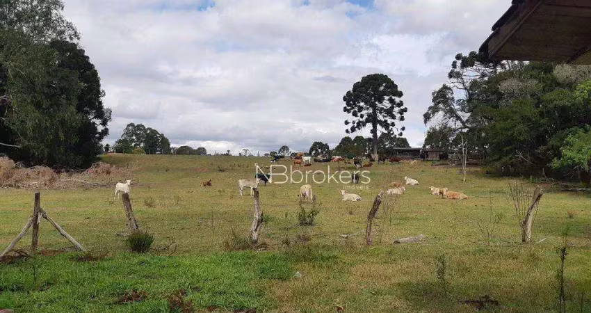 Chácara à venda, 43000 m² por r$ 990.000,00 - centro - araucária/pr
