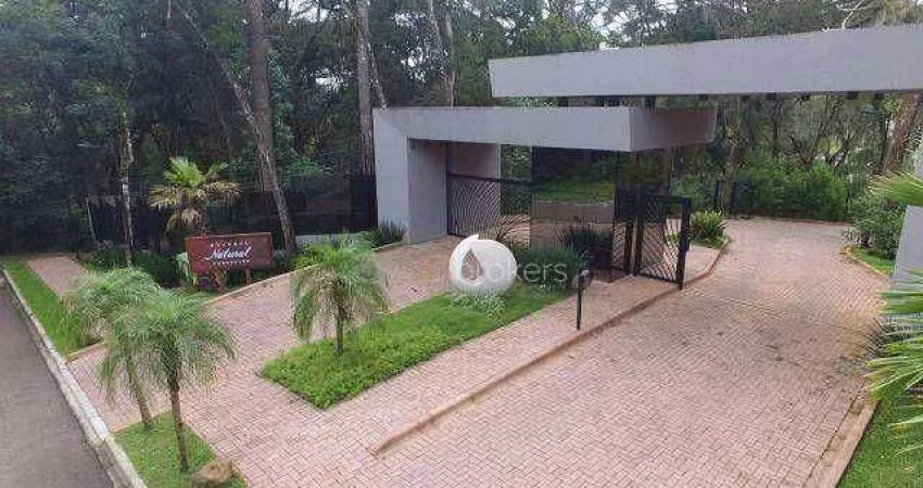 Terreno à venda, 704 m² por R$ 1.500.000,00 - Santa Felicidade - Curitiba/PR