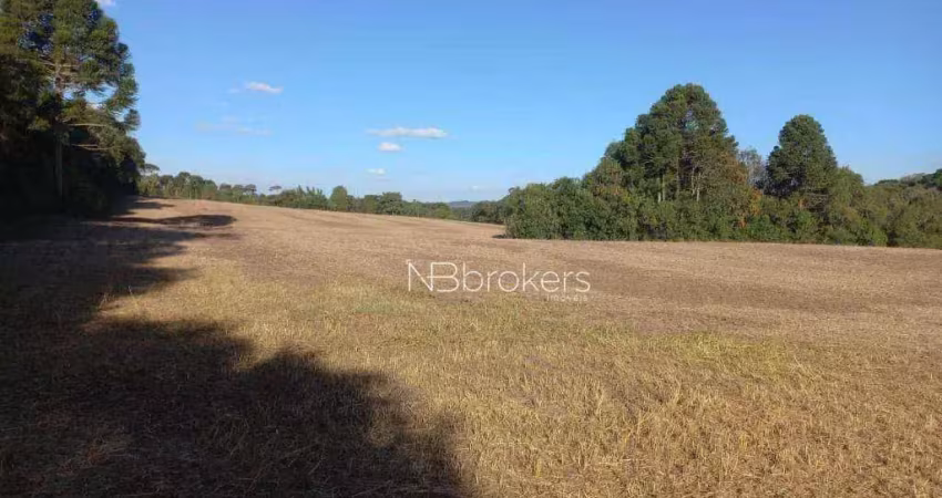 Chácara com 5 dormitórios à venda, 58372 m² por r$ 2.190.000,00 - centro - antônio olinto/pr