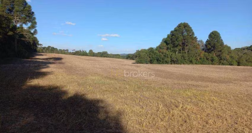 Chácara com 5 dormitórios à venda, 58372 m² por R$ 2.190.000,00 - Centro - Antônio Olinto/PR