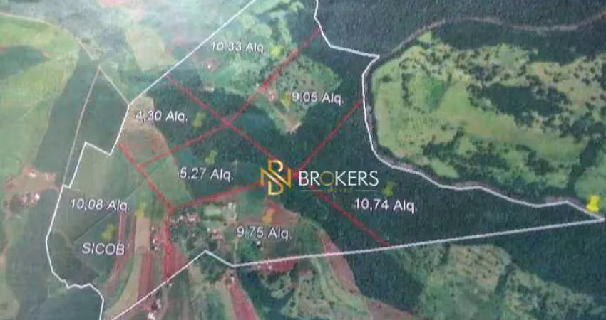 Área à venda, 354046 m² por r$ 2.900.000,00 - rio do salto - cascavel/pr