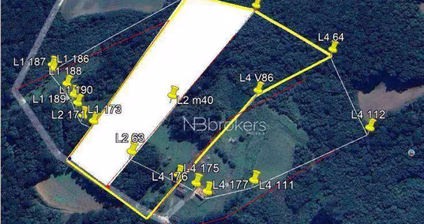 Chácara à venda, 43700 m² por r$ 990.000,00 - estação - araucária/pr