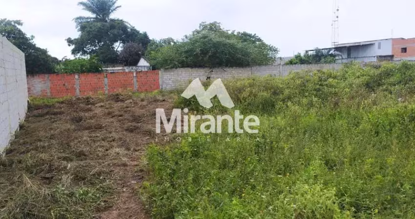 Lote / terreno de bairro para vender no bairro papagaio em feira de santana