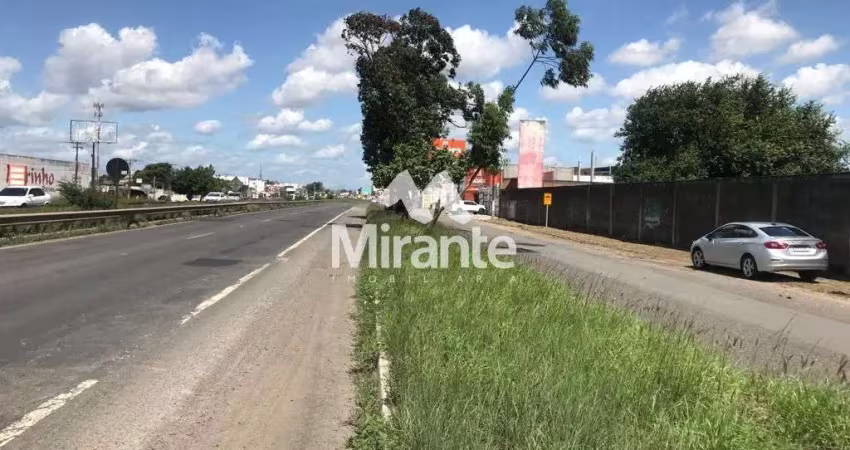 Lote / terreno de bairro para alugar no bairro cidade nova em feira de santana