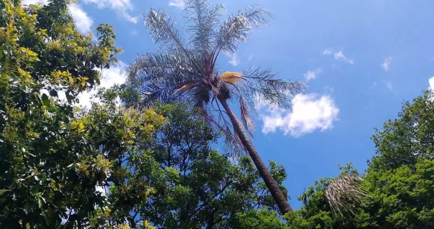 Casa à venda no São Gonçalo, Contagem 