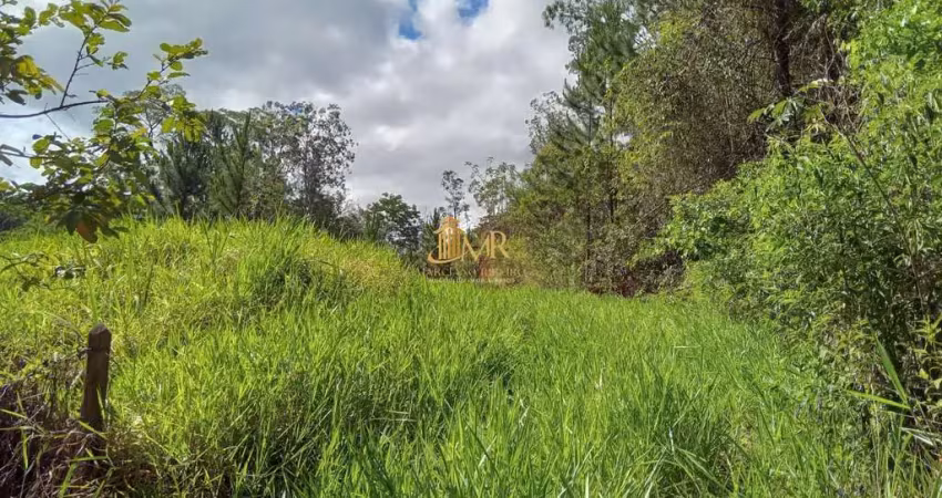 Terreno à venda na Rodovia Paulo Virgínio, Paiol, Guaratinguetá