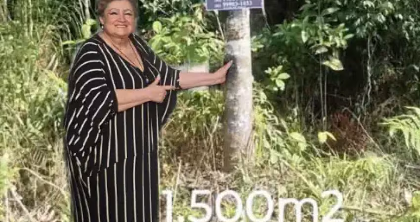 Terreno à venda na Avenida Paranaguá, Balneário Gaivotas, Matinhos