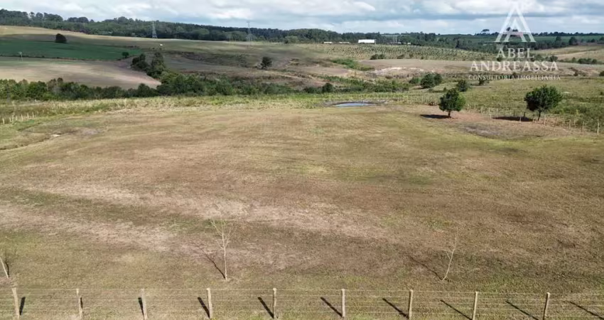 Chácara / sítio à venda na Estrada Da Lage, 2035, São Luiz do Purunã, Balsa Nova