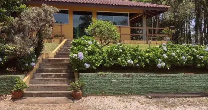Chácara / sítio com 4 quartos à venda na Rua Aníbal Khury, Bugre, Balsa Nova
