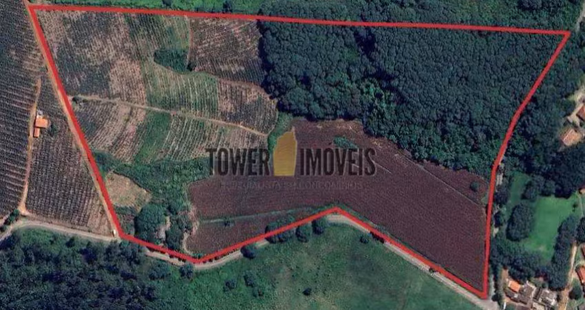 Terreno comercial à venda na Alameda Carlos de Carvalho Vieira Braga, Macuco, Valinhos