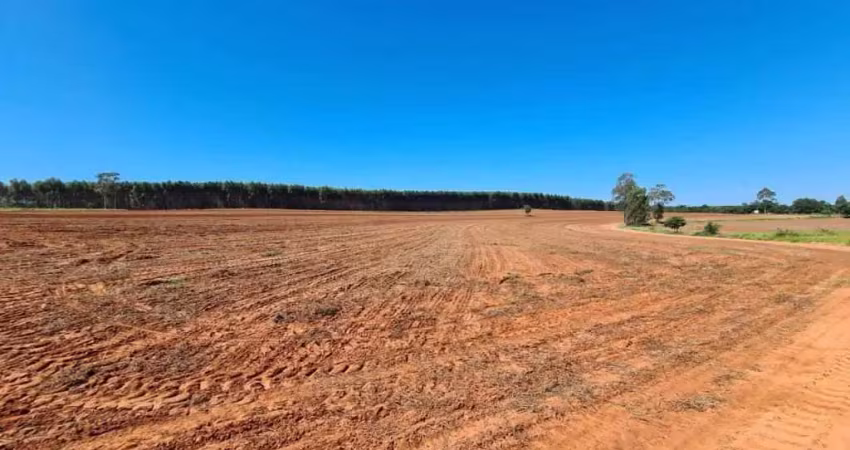 Fazenda à venda na Avenida Ipiranga, Área Rural de Marília, Marília