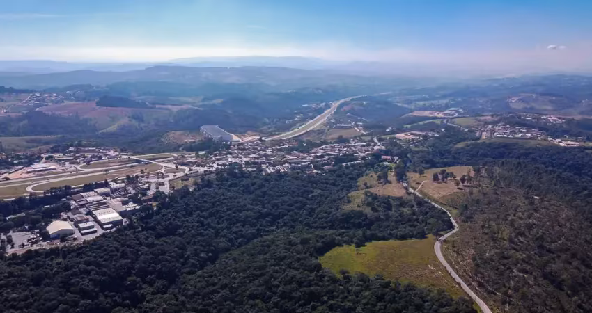Reserva castelo branco  - tranquilidade ,  emoção  ao som da natureza . a localização e documentação que sua familia merecem .