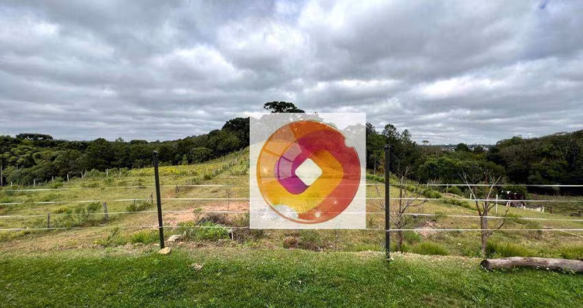 Área à venda, 36600 m² Augusta - Curitiba/PR