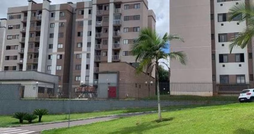 Apartamento com 2 Quartos à venda, 54 m   - Colônia Rio Grande - São José dos Pinhais PR