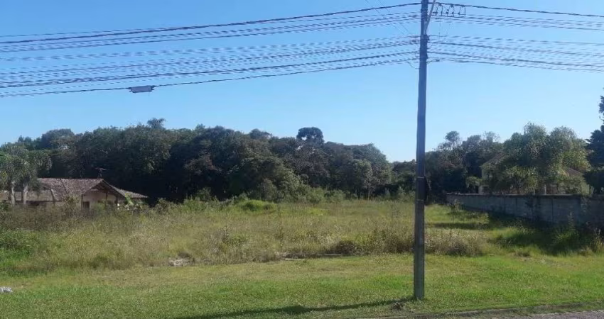 Terreno à venda, 16.500 m² por R$ 1.889.000 - São Miguel - Araucária/PR