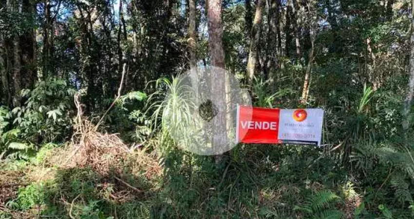 Chácara à venda em rodeio santo antônio  balsa nova pr  20.000 m  por r  170.000