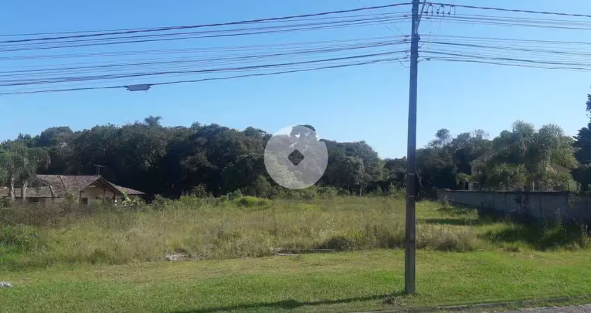 Excelente área á venda - 16.500m   araucária  pr. rua francisco knopik -