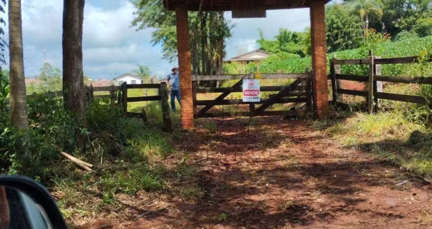 Sítio à venda, 48000 m² por r$ 1.500.000 - centro - tamarana/pr