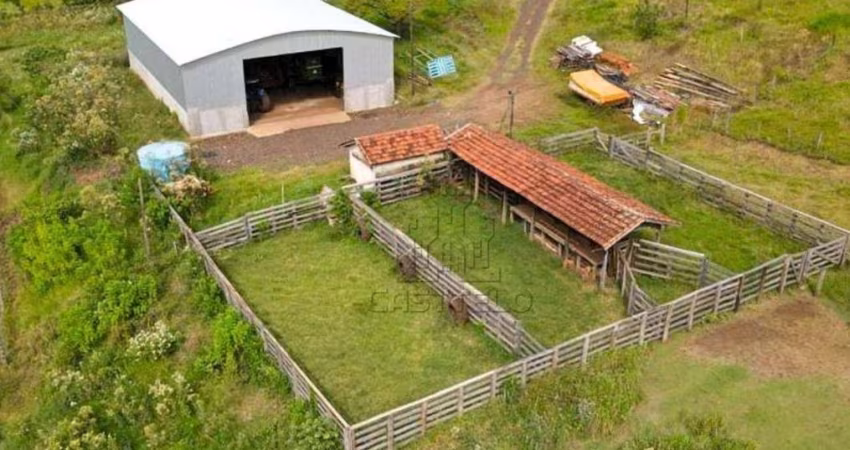 Sítio à venda por R$ 8.000.000 - Zona Rural - Assaí/PR
