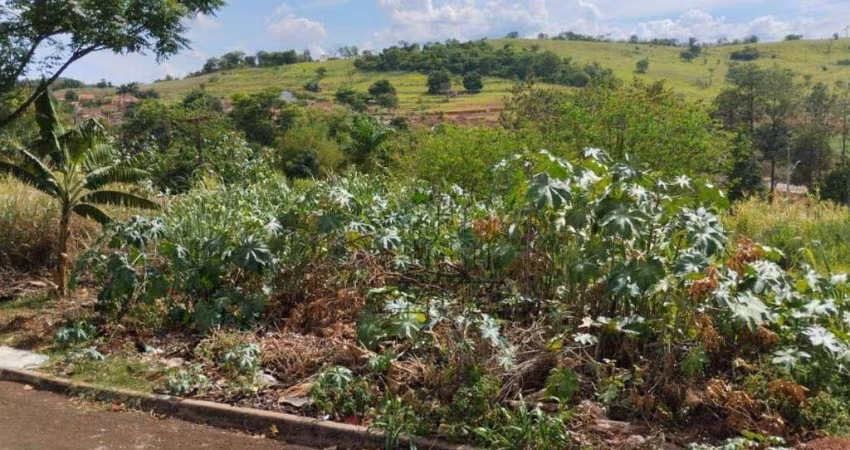 Terreno à venda, 250 m² por R$ 70.000,00 - Esperança - Ibiporã/PR