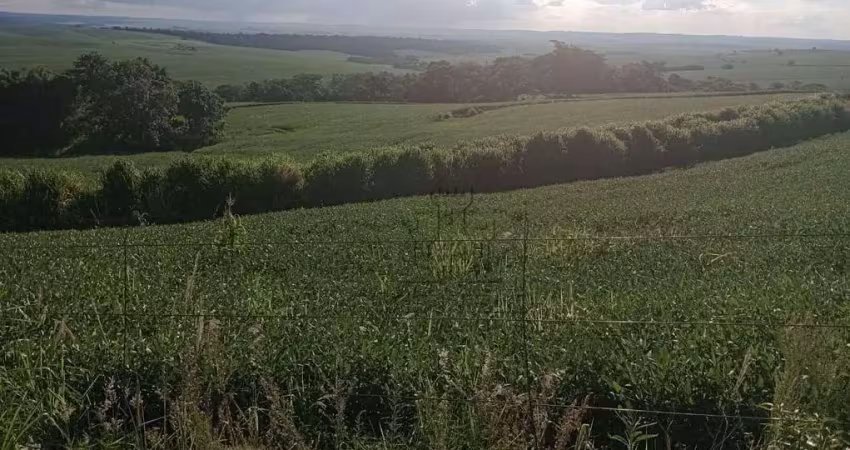 Sítio à venda, 193600 m² por r$ 2.500.000 - centro - bela vista do paraíso/pr