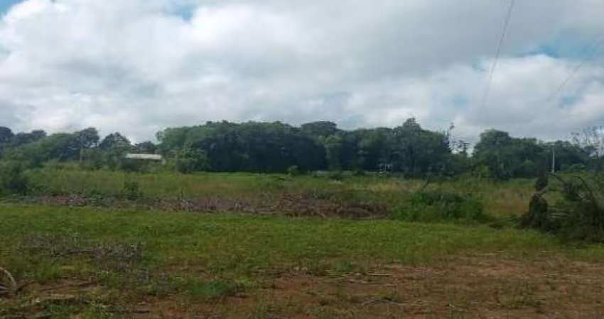 Terreno comercial à venda em Campina do Taquaral, São José dos Pinhais 