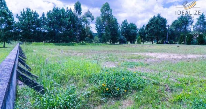 Terreno à venda na Rodovia BR-376, Campo Largo da Roseira, São José dos Pinhais