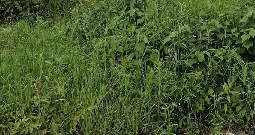 Terreno à venda no São Paulo, Navegantes 