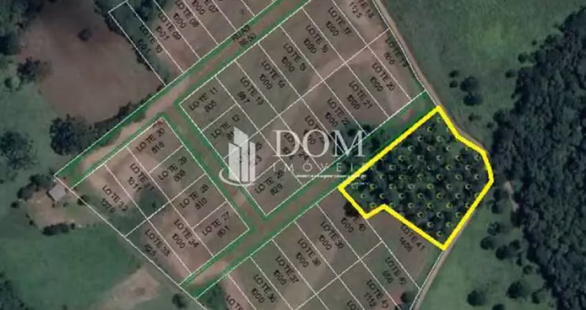 Terreno comercial à venda na Avenida Vereador Rubem Siqueira Ribas, Vila Jordão, Guarapuava