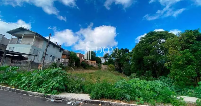 Terreno à venda na Rua Albert Einstein, 100, Santa Cruz, Guarapuava