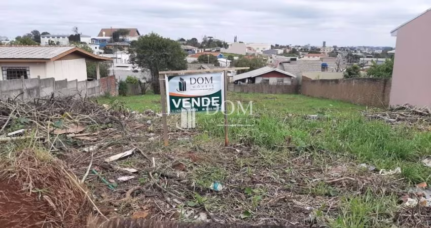 TERRENO CONRADINHO