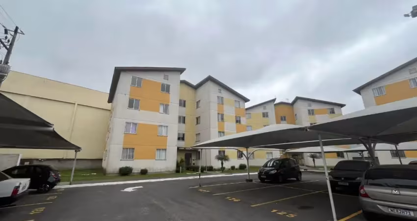 Apartamento com 2 quartos à venda na Rua Octávio Cim, 1227, Parque da Fonte, São José dos Pinhais