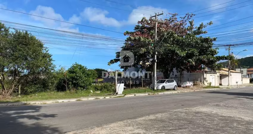 Ogiva - cabo frio/rj - terreno plano na principal av da ogiva/peró - 877m²