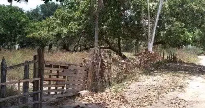 Chácara / sítio com 2 quartos à venda no Sim, Feira de Santana 