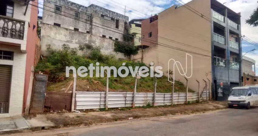 Terreno à venda na Rua José Carcheno, Jaqueline, Belo Horizonte