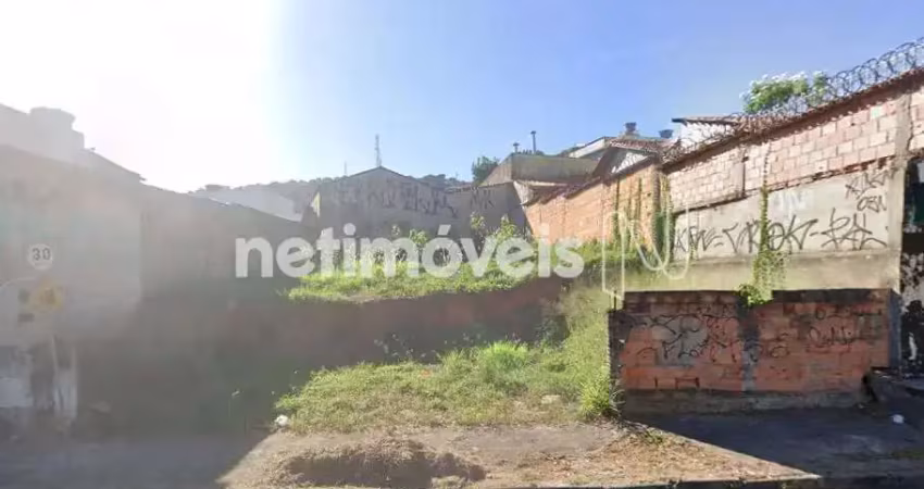 Terreno à venda na Rua Berlim, Europa, Belo Horizonte