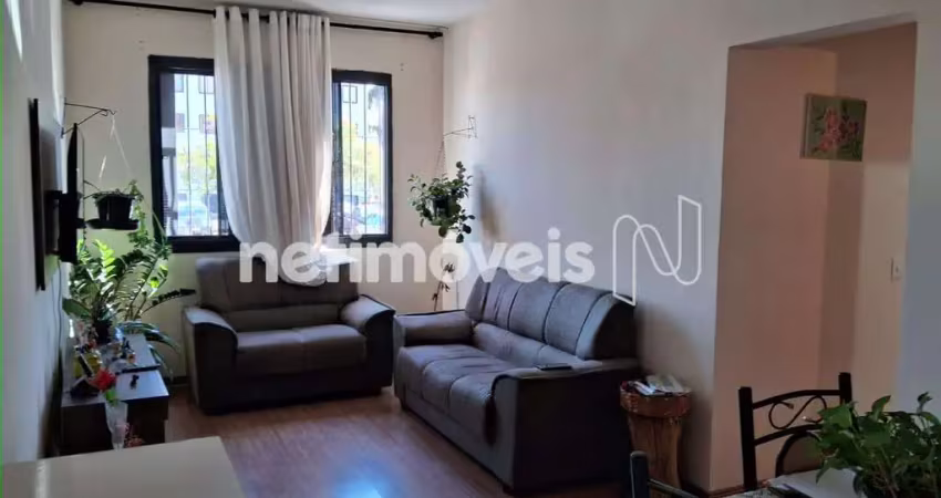 Apartamento com 2 quartos à venda na Rua Joaquim Pereira, Santa Branca, Belo Horizonte