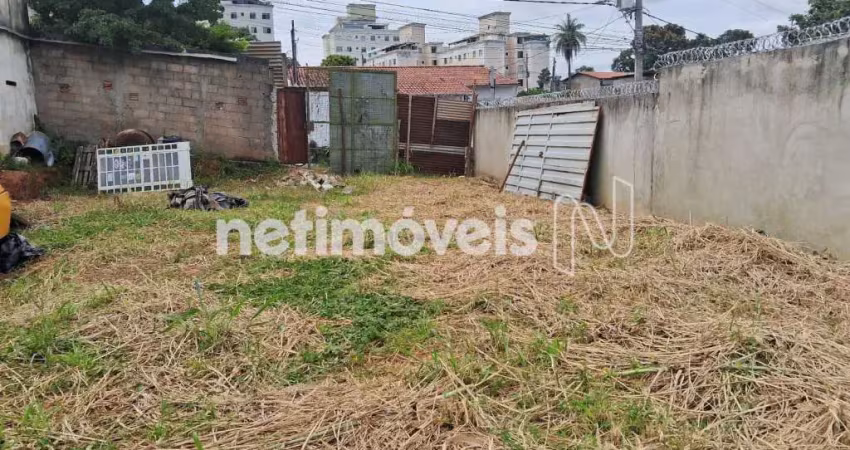 Terreno à venda na Rua Cheflera, Frei Leopoldo, Belo Horizonte