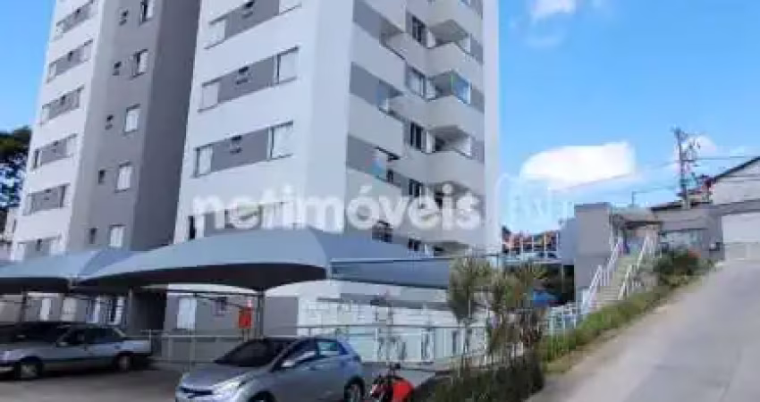 Apartamento com 2 quartos para alugar na Rua Rosa Zandona, Venda Nova, Belo Horizonte