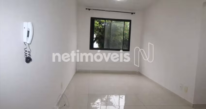 Apartamento com 2 quartos para alugar na Rua Joaquim Pereira, Santa Branca, Belo Horizonte