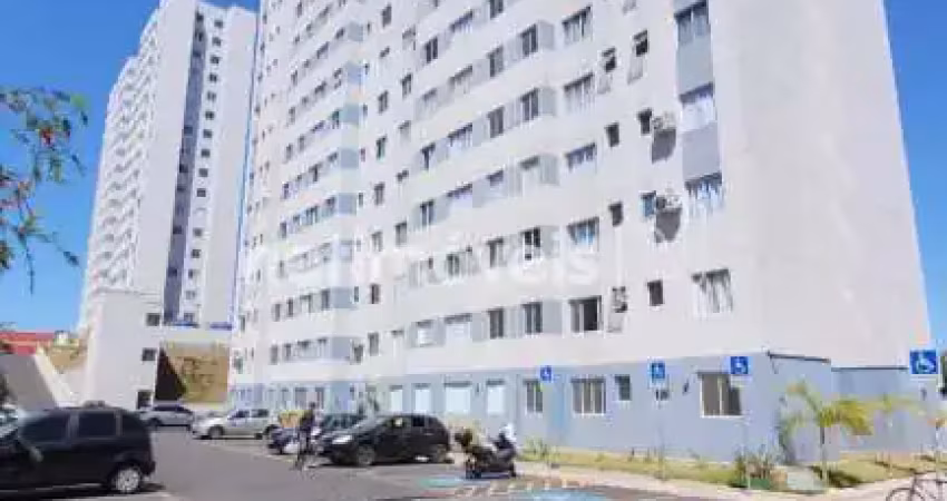 Apartamento com 2 quartos para alugar na Rua Ana Dias Duarte, Jardim Guanabara, Belo Horizonte