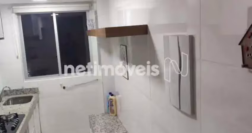 Apartamento com 2 quartos para alugar na Rua Santa Maria Bertilla, São João Batista, Belo Horizonte