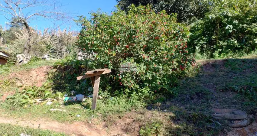 Terreno à venda na Rua Maria Rosa Moreira Santos, 364, Jardim das Oliveiras, Almirante Tamandaré
