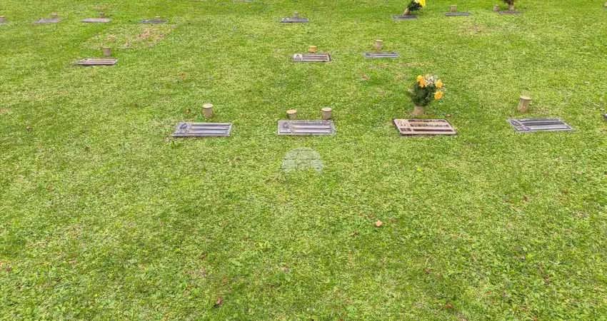 Terreno em condomínio fechado à venda na Rua Nicolau José Gravina, 292, Cascatinha, Curitiba