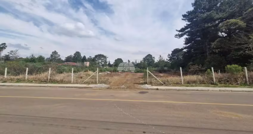 Terreno à venda na RUA MIGUEL MACUIM, 753, Jardim das Acácias, Quatro Barras