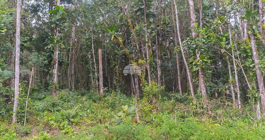 Terreno à venda na RUA ESTRADA DO FAISQUERINHA, 15, Faisqueira, Antonina