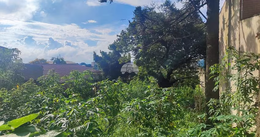 Terreno à venda na Rua Alcide Nilton Motin, S/N, Palmital, Colombo